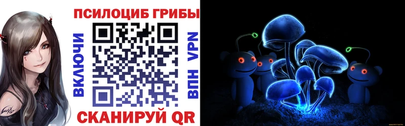 Псилоцибиновые грибы Psilocybe  Карабулак 